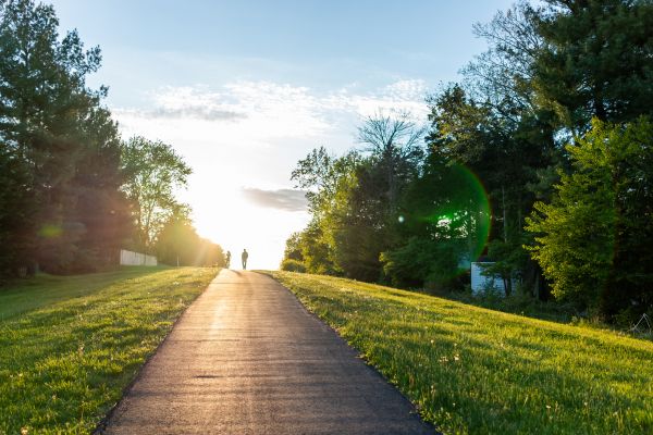 Cost of Asphalt Pathway Installation in Clermont