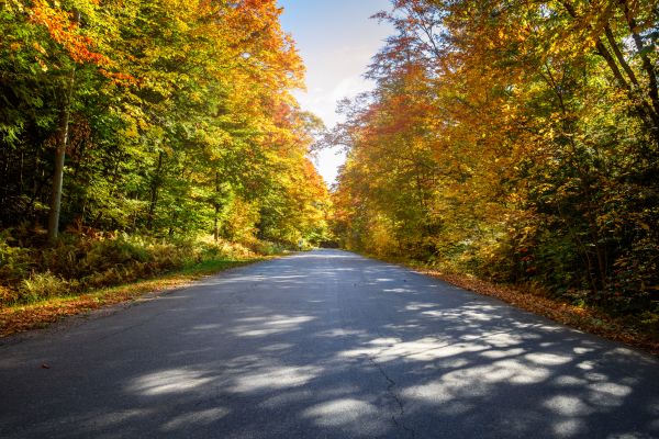 Cost of Blacktop Replacement in Clermont