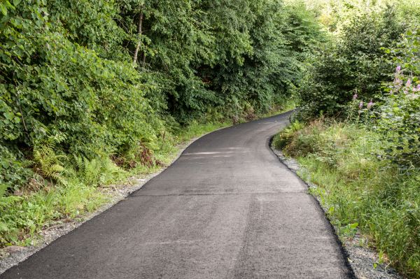 Cost of Asphalt Driveway Replacement in Clermont